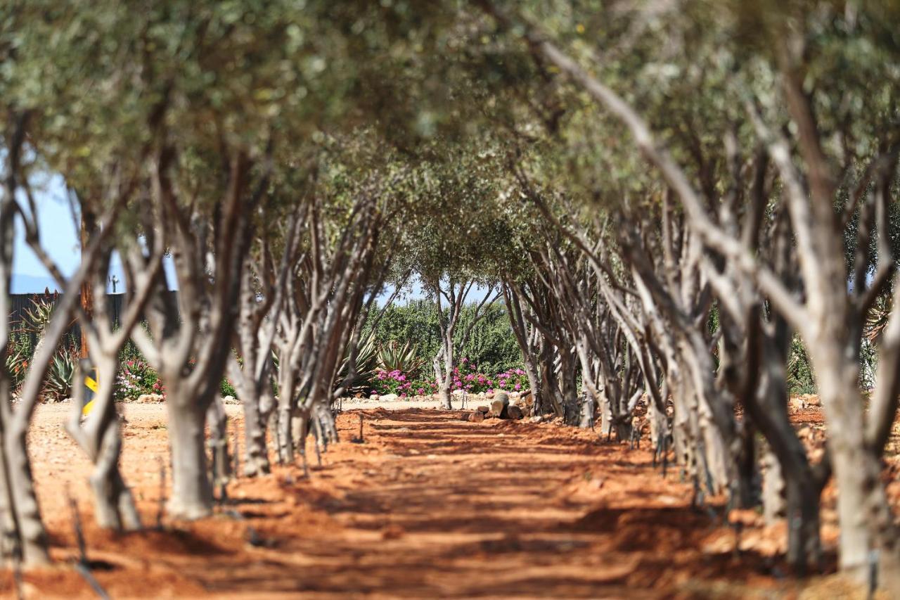 Berluda Farmhouse And Cottages Oudtshoorn Ngoại thất bức ảnh